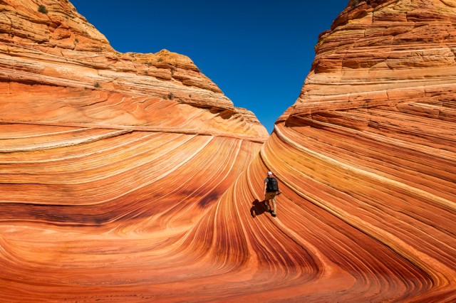 Hiking,In,The,Desert,Southwest,,Arizona,,Usa.